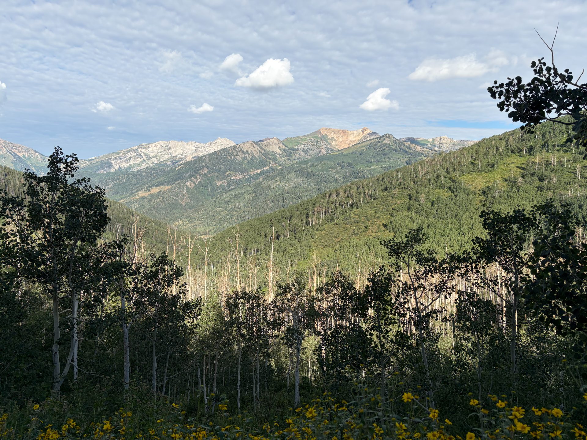 American Fork to Midway MTB Loop