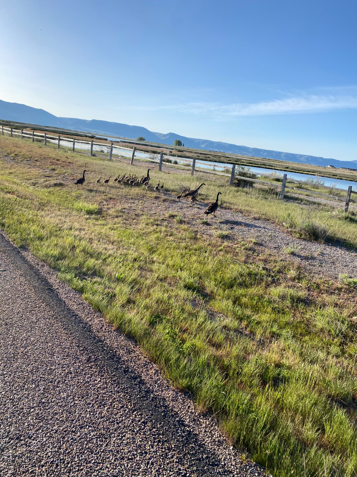 Bear Lake Loop