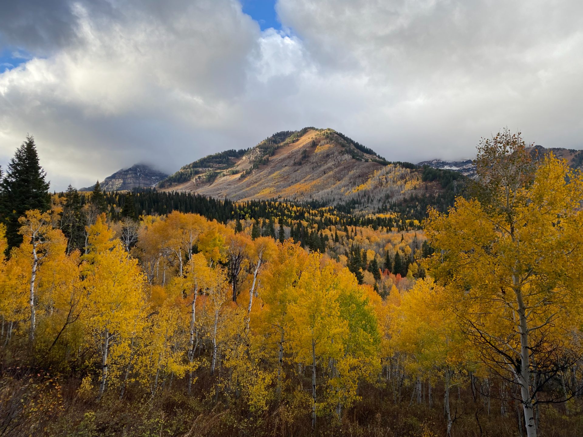 Alpine Loop
